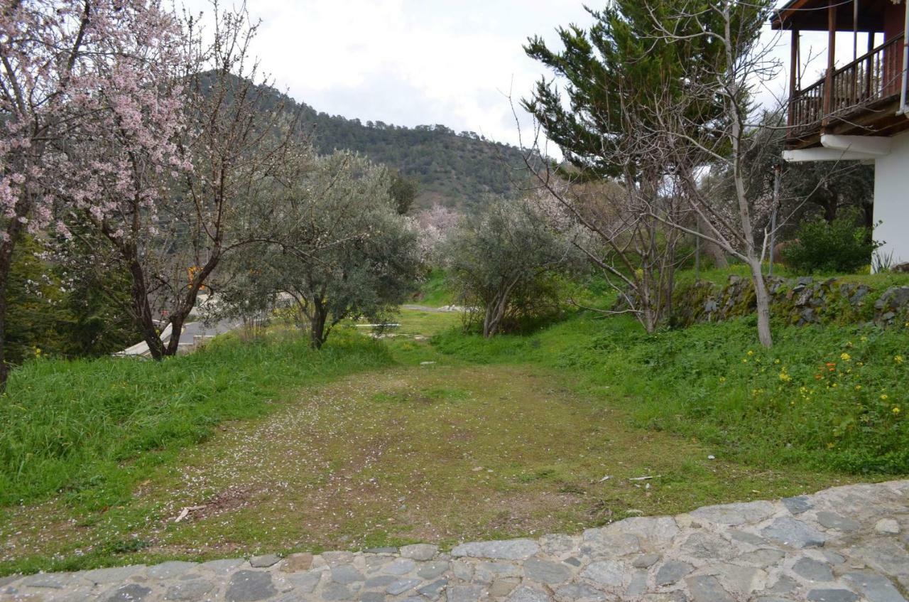 Chakistra Saint Nicholas Heights מראה חיצוני תמונה