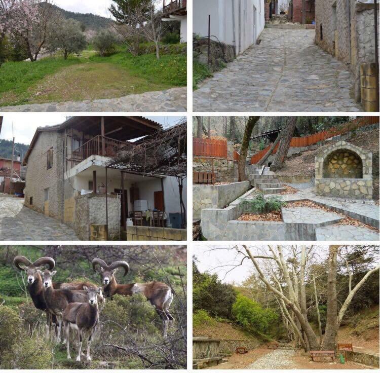 Chakistra Saint Nicholas Heights מראה חיצוני תמונה
